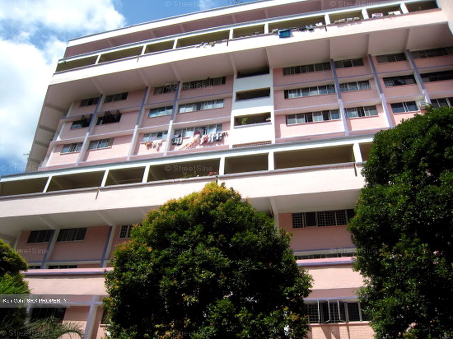 Blk 110 Bukit Purmei Road (Bukit Merah), HDB 3 Rooms #558831671